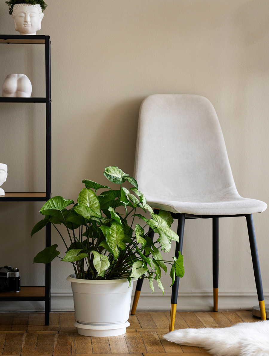 Balatonfüredi lakások