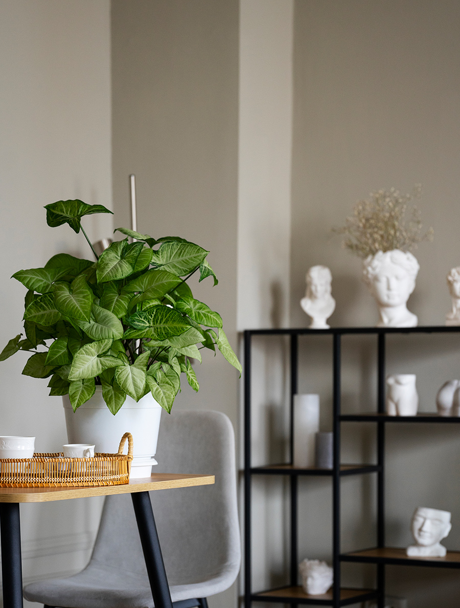 Balatonfüredi lakások